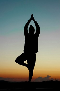 An yoga lover practicing Vrikchan or tree pose